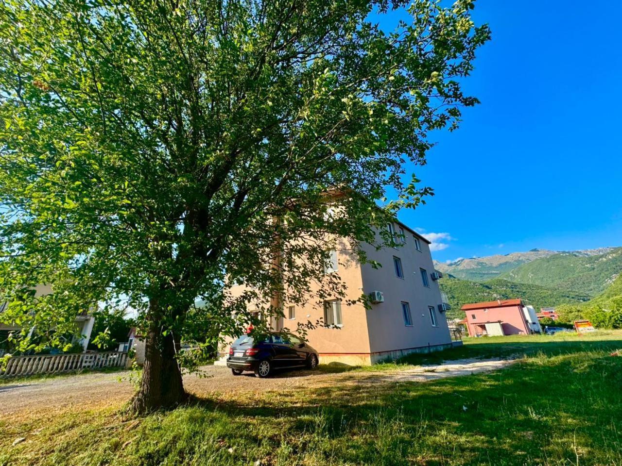 Talija Budva